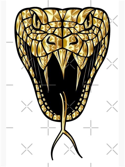 Image result for King Cobra Fangs