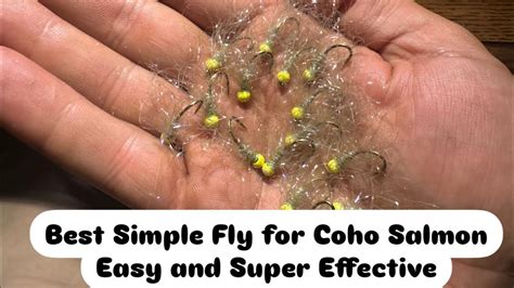 Image result for Coho Salmon Fly Patterns