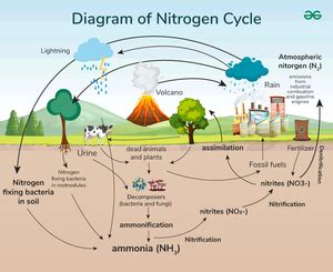 Image result for Nitrogen Gas Detector Arduino