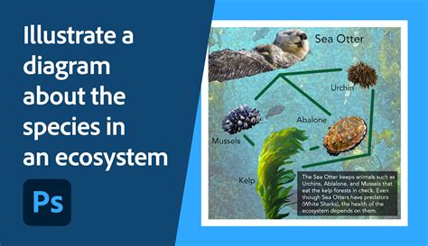 System Ecosystem Diagram に対する画像結果