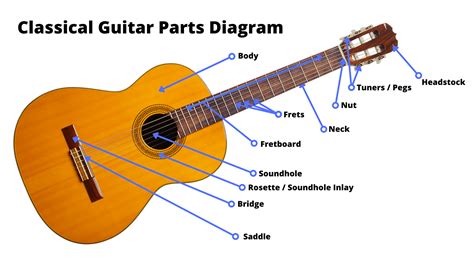 Image result for 12 String Guitar Labeled Diagram