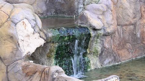 Spring Water-এর ছবি ফলাফল