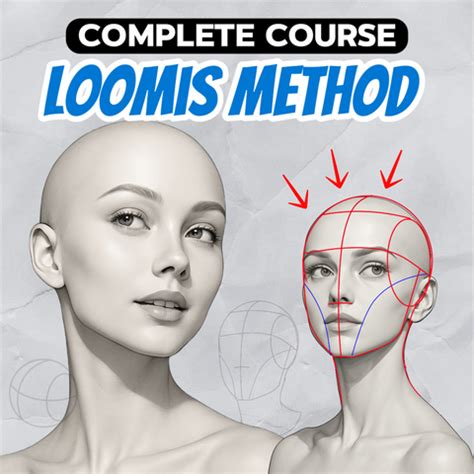 Loomis Method Drawing In-Depth に対する画像結果