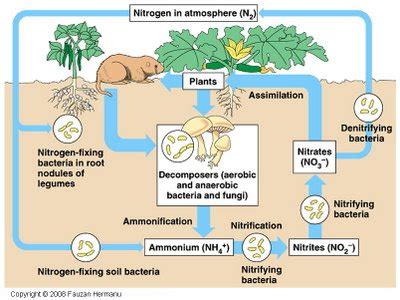 Image result for Nitrogen Gas Detector Arduino