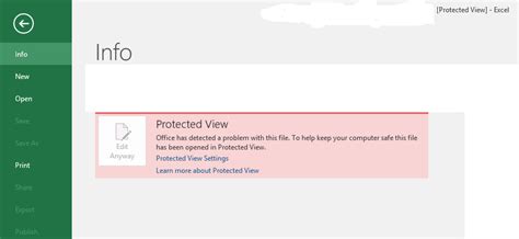 Image result for What Does Protected View in Excel Look Like