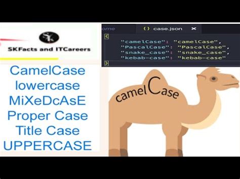 Toradh íomhá ar Types CamelCase