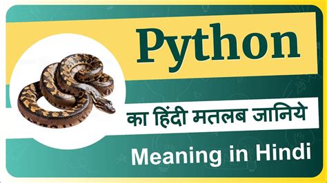 Dictionary Definition in Python Video in Hindi に対する画像結果