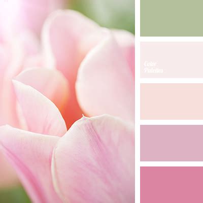 Image result for Soft Pink Color Palette