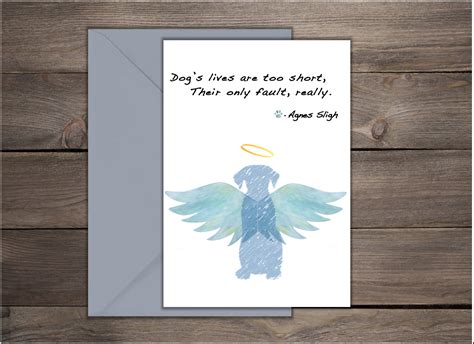 Image result for Doy Lossy