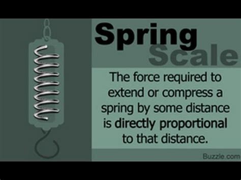 Image result for What Does a Spring Scale Do
