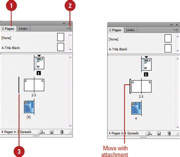 Image result for How to Move Pages in InDesign