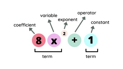 Image result for Polynomials Explained