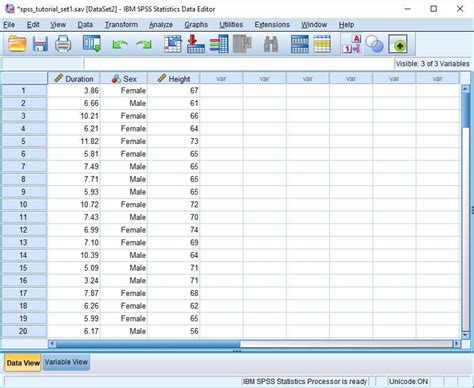 Toradh íomhá ar SPSS Data Analysis Application