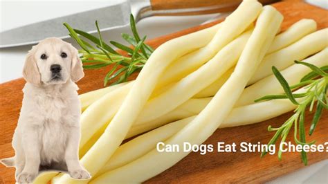 String Cheese Canadian Animals に対する画像結果