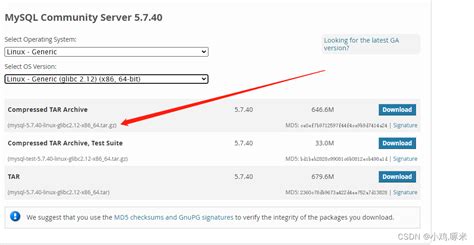 Afbeeldingsresultaten voor MySQL 5 5 64-Bit Download