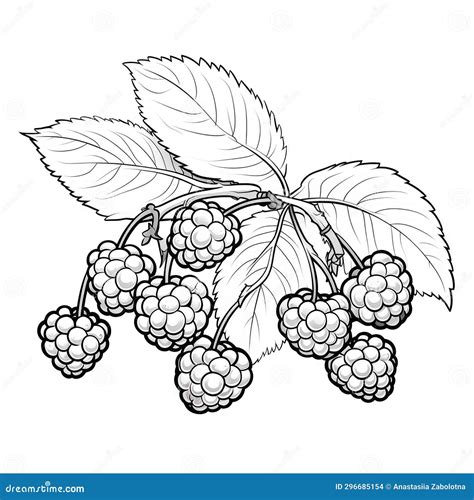 Afbeeldingsresultaten voor Berries Drawing