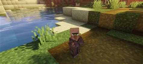 Image result for Baby Villager in Bedrock vs Java