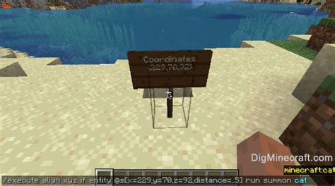 Block Execute Command Minecraft に対する画像結果