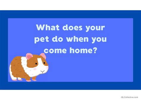 Image result for Present Simple to Be Speaking Practise Slides