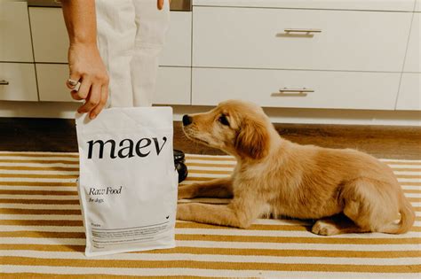 Image result for Maev Roblox