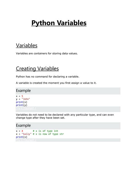 Image result for Variables in Python 10 Marks Question