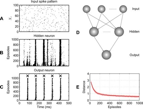 Image result for Sparse Coding in Spiking Neural Networks