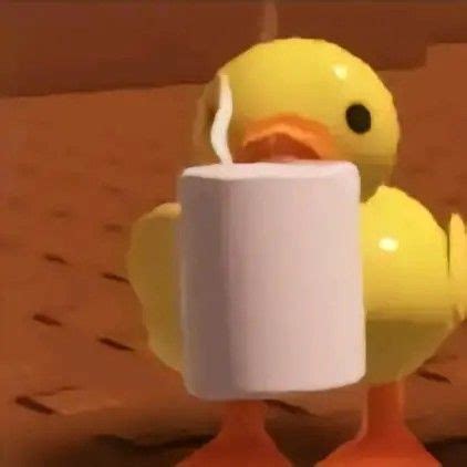 Image result for Roblox Rubber Duck PFP