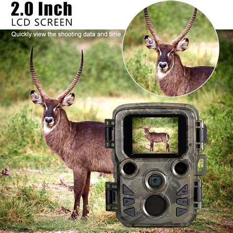 Image result for Hunting Camera