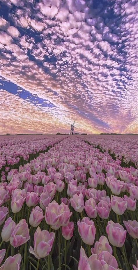 Aesthetic Nature added a new photo. - Aesthetic Nature