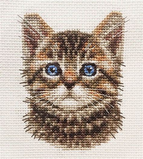 Image result for Cat Kitten Cross Stitch Patterns