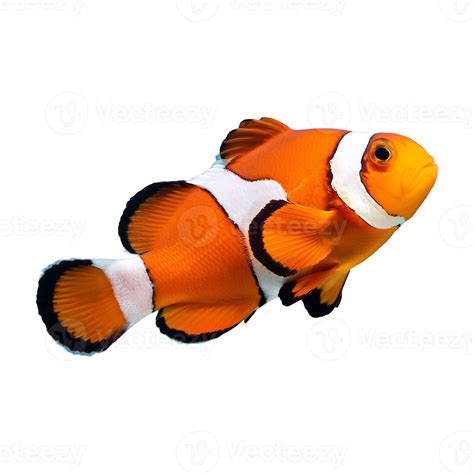 Image result for Transparent Snapping Fingers