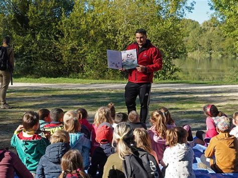 Image result for Animator De Sain