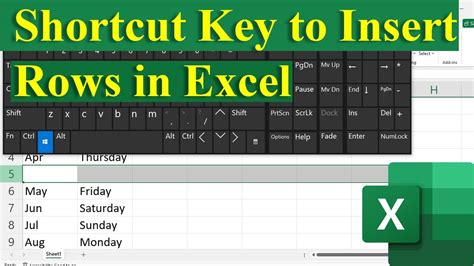 Image result for Keyboard Shortcut to Insert Entire Row in Excel
