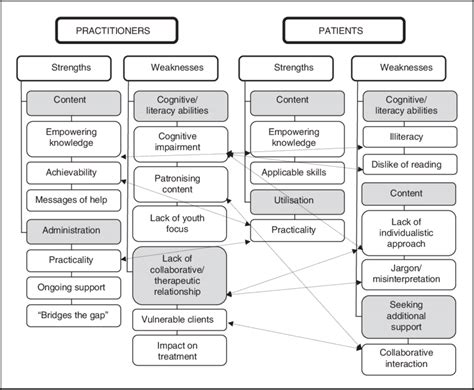 Image result for Theraputic Practice Map