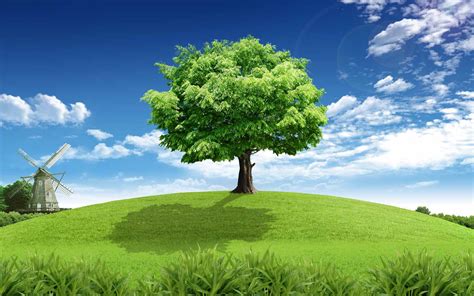 Green Tree Wallpaper Windows 7 に対する画像結果