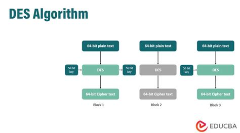 Image result for Des Algo