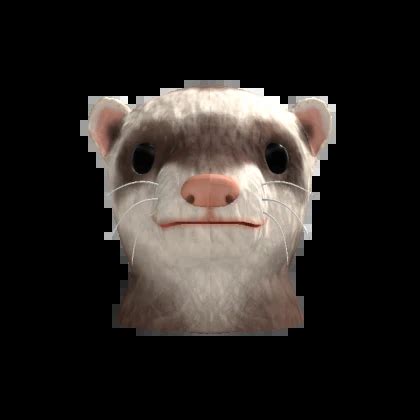 Ferret Roblox ID Codes に対する画像結果