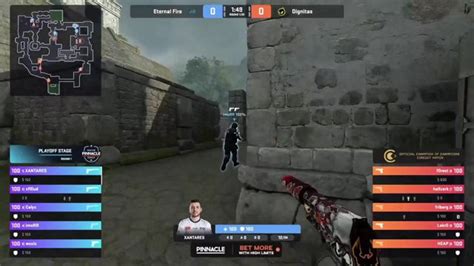 Image result for Ecoblitz Streamer