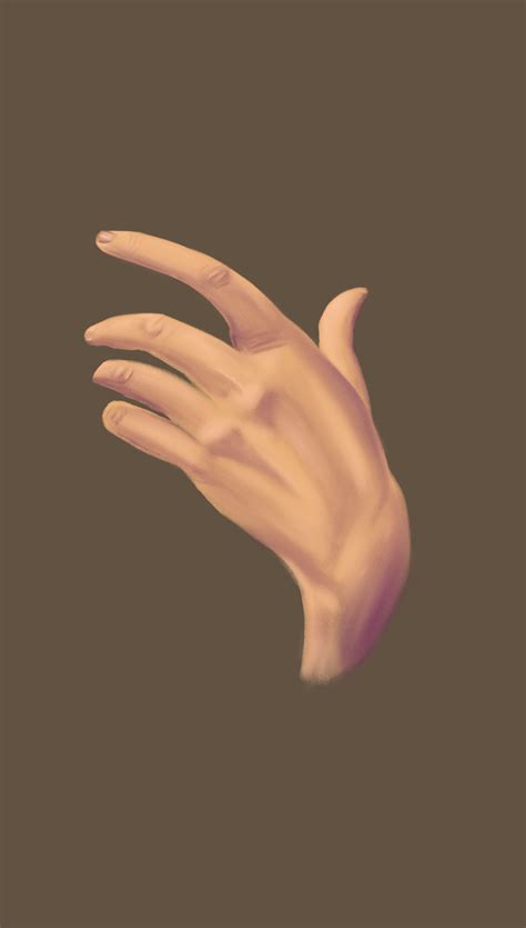 Image result for Proko Hand Anatomy