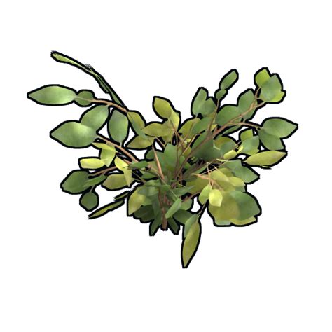 Afbeeldingsresultaten voor Perfect Hemp Clone Rust