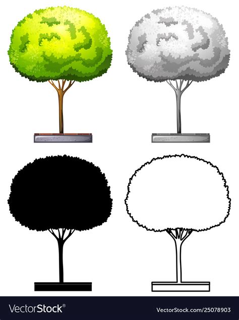 Image result for How to Make a Set Tree
