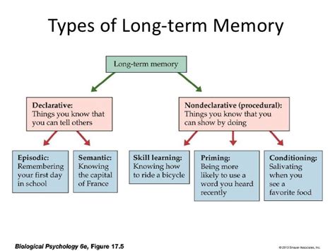Image result for Types of Long-Term Memory