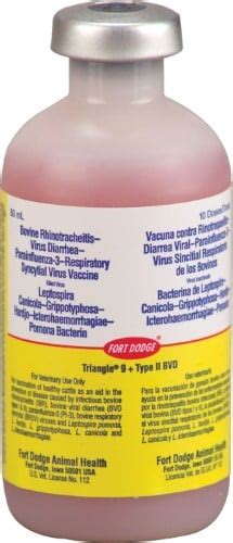 Image result for Injection Triangle Cattle