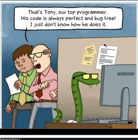 Toradh íomhá ar Introductory Python Meme