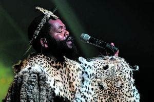 Image result for Sjava Album Collage