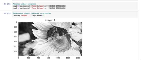 Toradh íomhá ar Salt and Pepper Noise Python
