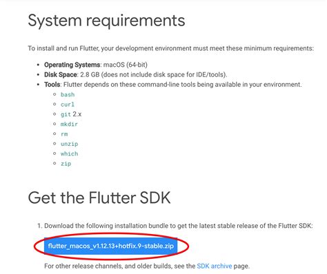 Flutter Environment SDK に対する画像結果