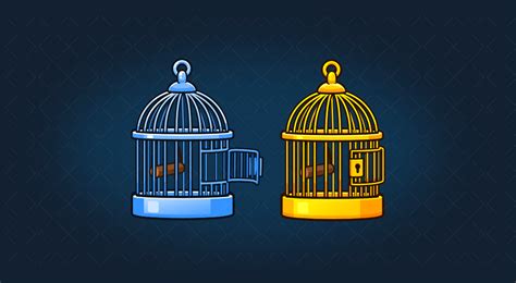 Image result for Bird Cage Game Roblox