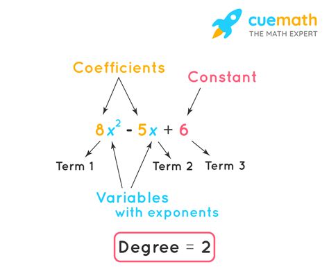 Image result for Polynomials Explained
