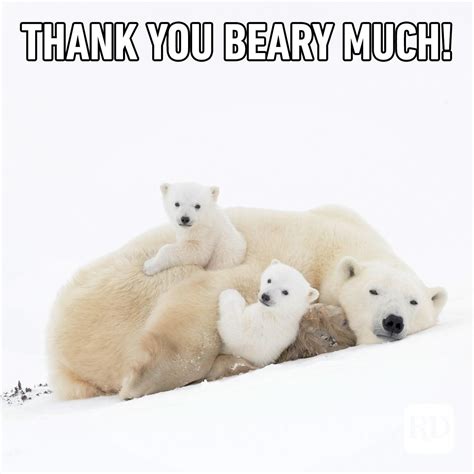 Image result for Thank You Meme Picture